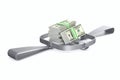 Bear trap and money on white background. Isolated 3D illustration