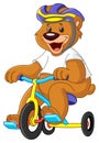 Bear on tricycles