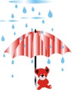 Bear with Umbrella Rainy Day