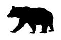 Bear vector illustration black silhouette Royalty Free Stock Photo