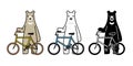 Bear vector polar bear bicycle riding cycling cartoon character icon logo isolated illustration