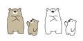 Bear vector Polar Bear icon logo kid cartoon character illustration doodle