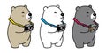 Bear vector polar bear icon logo panda illustration camera cartoon character