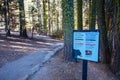 Bear Warning Sign in Sequoia National Park Royalty Free Stock Photo