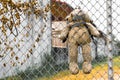 Bear was hanged on metal fence