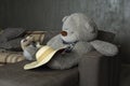 The bear was thrown by the hostess, the bear became sad Royalty Free Stock Photo