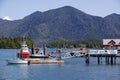 Bear watching, whale watching tours in Tofino, BC, Canada Royalty Free Stock Photo