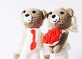Bear wedding portraits on white background Royalty Free Stock Photo