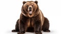 bear on white background illutration by generative ai