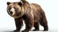 Bear on white background ultra detail hyper realistic. Generative AI