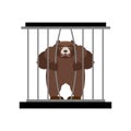 Bear in Zoo cage. Strong Scary wild animal in captivity. Large g