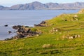 Beara peninsula irish landscape Royalty Free Stock Photo