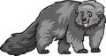 Bearcat animal cartoon illustration Royalty Free Stock Photo