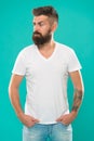 Beard fashion and barber concept. Man bearded hipster stylish beard turquoise background. Barber tips maintain beard