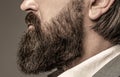 Beard is his style. Bearded man close up. Perfect beard. Close-up of young bearded man. Close up of handsome beard