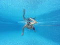 Beard man with glasses swimming under water in the pool Royalty Free Stock Photo