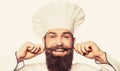 Beard man and moustache wearing bib apron. Bearded male chefs isolated on white. Funny chef with beard cook. Portrait of Royalty Free Stock Photo
