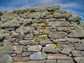 Beard moss lichen on a dry stone wall in Shetland, Scotland, UK Royalty Free Stock Photo