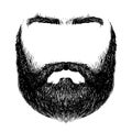 Beard, mustache, eyebrows Royalty Free Stock Photo