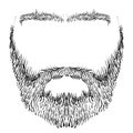 Beard, mustache, eyebrows Royalty Free Stock Photo