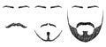 Beard, mustache, eyebrows Royalty Free Stock Photo