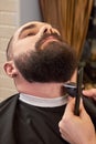 Beard trimming in barber shop. Royalty Free Stock Photo