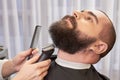 Beard trimming in barbershop. Royalty Free Stock Photo