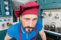 Portrait of Chef with suspicious glance. Bearded chef in hat. Angry man in apron at kitchen. Bearded cook with puzzled look. Royalty Free Stock Photo