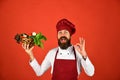 Bearded Chef Holding a Basket of Vegetables in One hand Royalty Free Stock Photo