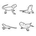 Bearded Dragon Animal Vector Illustration Hand Drawn Cartoon Art