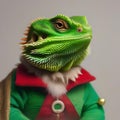A bearded dragon as the Grinch, complete with a green furry costume and a sneer2