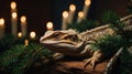 Majestic Bearded Dragon Lizard on Wood, Festive Christmas Lights Royalty Free Stock Photo