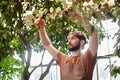 bearded gardener in linen apron cutting