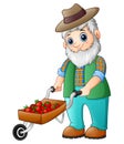 Bearded gardener pushing a strawberry cart