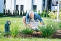 Bearded grey-haired man wearing blue shirt and striped apron enriching the soil