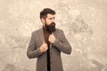 Bearded guy casual style. Fashionable look of busy man. Menswear. Elegant stylish hipster. Bearded man in urban style Royalty Free Stock Photo