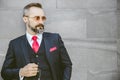 Bearded handsome man Latin model with stylish suit and sunglasses standing portrait Royalty Free Stock Photo