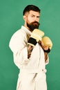 Bearded karate man or brutal caucasian hipster with moustache Royalty Free Stock Photo