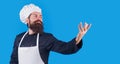 Bearded Male chef in uniform, apron and hat holds someting on hand. Copy space for advertising.
