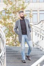 Bearded man. brutal mature hipster in autumn jacket. male with groomed facial hair. guy with stylish hairstyle. hair and