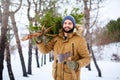 Bearded man carrying freshly cut down christmas tree in forest. Lumberjack holds axe and fir tree on his shoulder in the