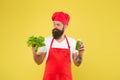 Bearded man chef in apron and hat. hipster decide what to choose. healthy eating and dieting concept. cook hold fresh Royalty Free Stock Photo