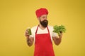 Bearded man chef in apron and hat. hipster decide what to choose. healthy eating and dieting concept. cook hold fresh Royalty Free Stock Photo