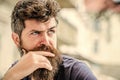 Bearded man concentrated face. Thoughtful mood concept. Making important choices. Man with beard and mustache thoughtful Royalty Free Stock Photo