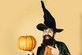 Bearded man cook in Halloween hat with pumpkin. Happy Halloween Weekends. Trick or treat. Happy Halloween Stickers