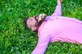 Bearded man with daisy flowers in beard lay on meadow, grass background. Hipster with bouquet of daisies in beard Royalty Free Stock Photo