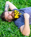 Bearded man with dandelion flowers lay on meadow, grass background. Hipster with bouquet of dandelions in beard relaxing Royalty Free Stock Photo
