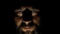 Bearded man in the dark looking at the camera. Royalty Free Stock Photo