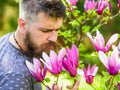 Bearded man with fresh haircut sniffs bloom of magnolia. Perfumer concept. Man with beard and mustache on calm face near