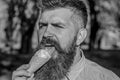 Bearded man with ice cream cone. Chilling concept. Man with long beard licks ice cream, close up. Man with beard and Royalty Free Stock Photo